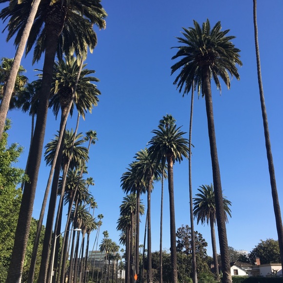 Meet your Posher, Chloe - Picture 1 of 1